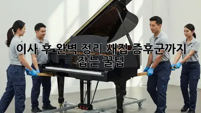 이사 후 완벽 정리, 새집 증후군까지 잡는 꿀팁!